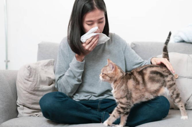 allergic to cats,types of cat allergy, cat allergy symptoms,prevent cat allergies, cat allergies,cat allergy treatment