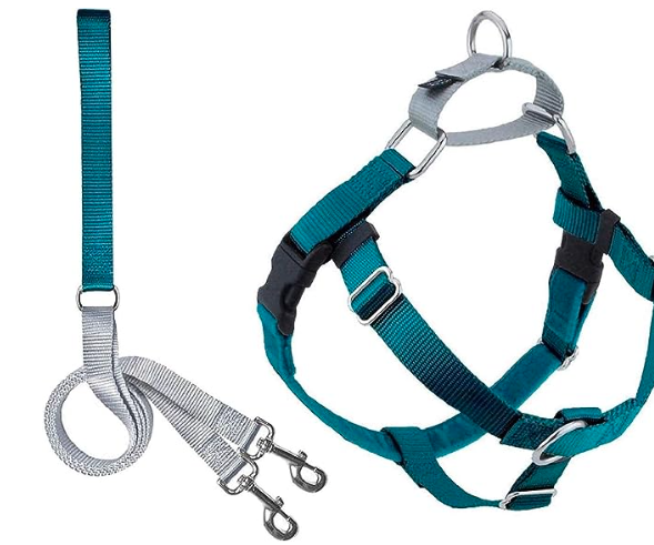 best dog harness of 2023, best small dog harness, best no pull dog harness, best large dog harness, personalized dog harness amazon, best dog harnesses, enjoyable walk for dog