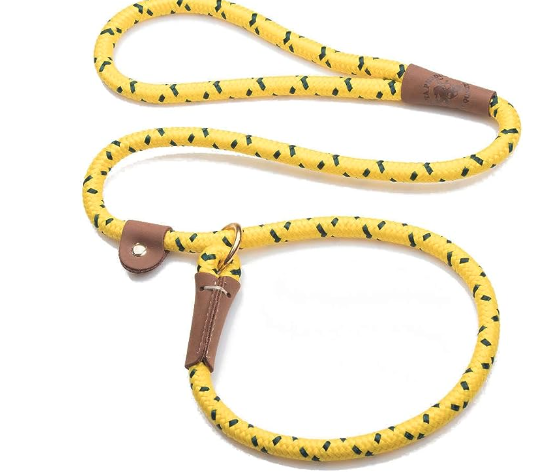 best leash for big dogs, best long leash for dogs, best dog leash for training, A dog leash 