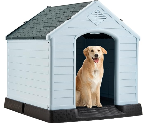  best little dog house, best outdoor dog house, types of house for puppies, best indoor dog house