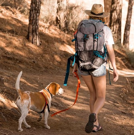 best leash for dogs that pull, best leash for dogs, best off-leash dogs, best leash for dogs hiking