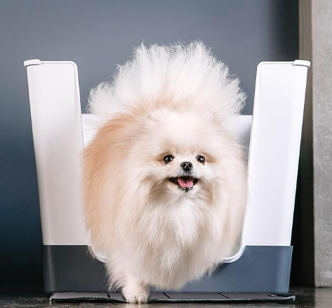 best litter boxes, puppy litter box, sustainable litter box, best litter box for dogs, best dog proof litter box, dog litter box amazon, best dog litter box