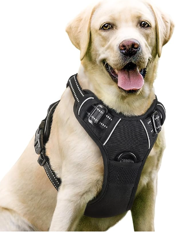 best dog harness of 2023, best small dog harness, best no pull dog harness, best large dog harness, personalized dog harness amazon, best dog harnesses, enjoyable walk for dog