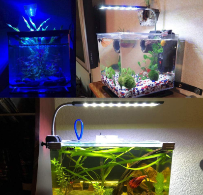 aquarium plants, aquarium lights for plants, led aquarium light, , Chihiros CII RGB, aquarium led lights, fish tank light, aquarium lights, Fluval Plant 3.0, hygger aquarium light