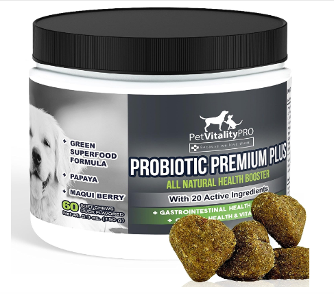  best probiotics for dogs skin, best probiotics for dog skin allergies, best natural probiotic for dogs