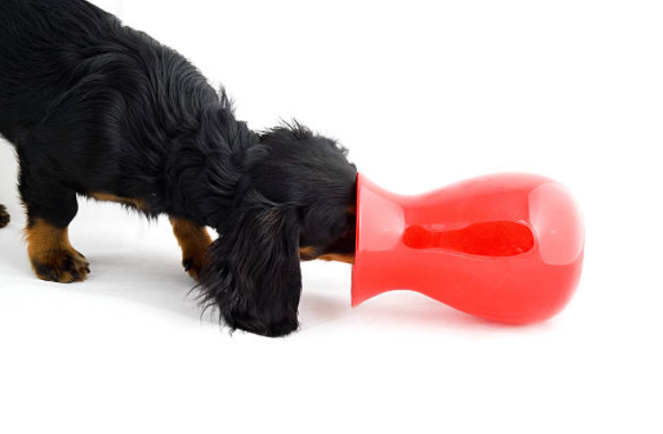 toy poodle, kong dog toys, snuffle mat, indestructible dog toys, squeaky toy, snuffle mat for dogs, dog training toys, treat dispensing toys, toys for dogs, interactive dog toys, dog puzzles