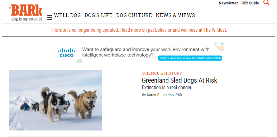 best dog blogs, blogs on dogs, best websites pets