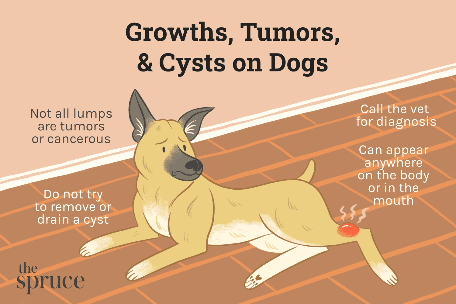 mast cell disorders , treatment options for MCTs in dogs , mast cell tumors in dogs mast cell tumor , pictures of mast cell tumors in dogs , mast cell tumor pictures treating mast cell tumors in dogs